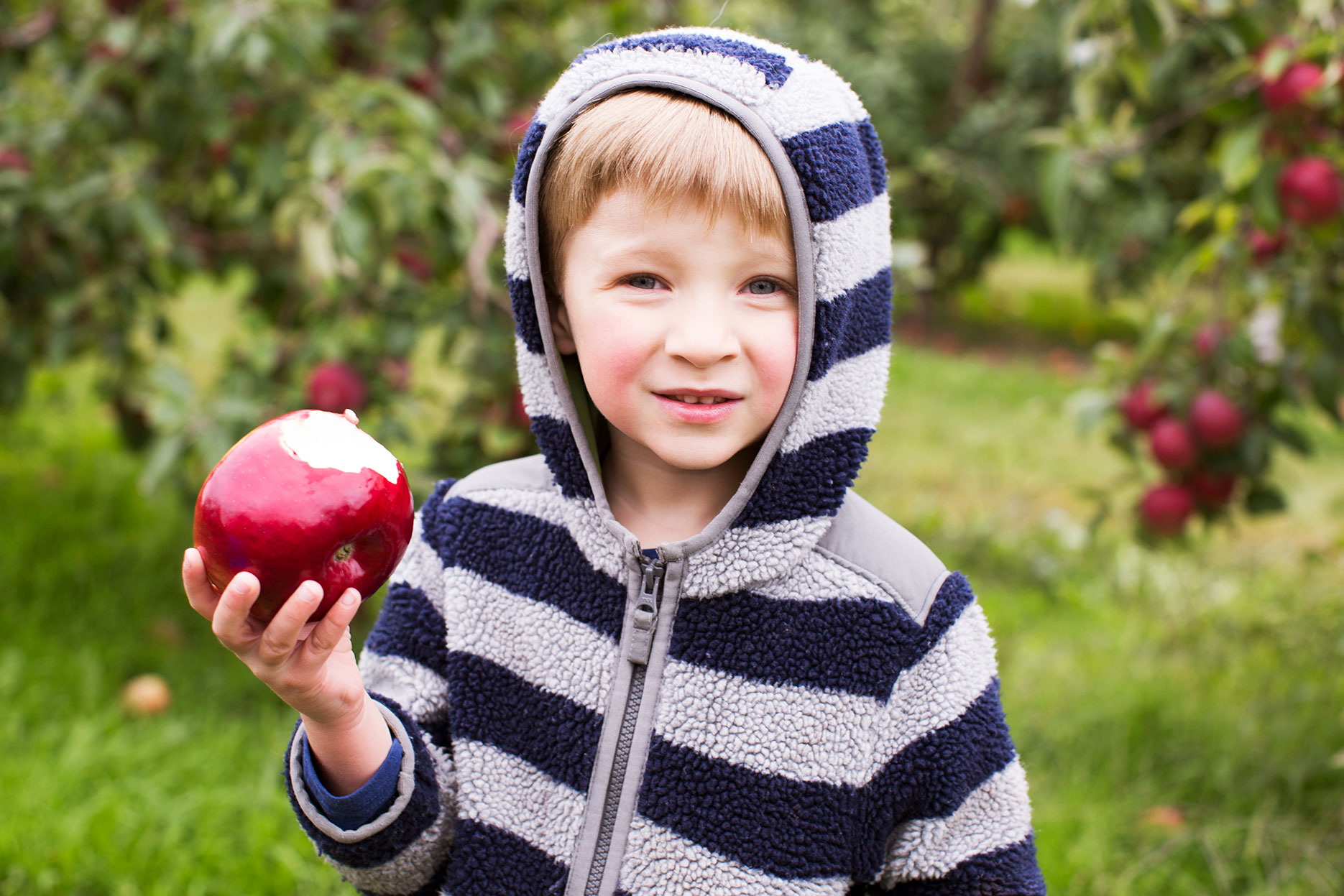 2015_02_19_Apples-053-1